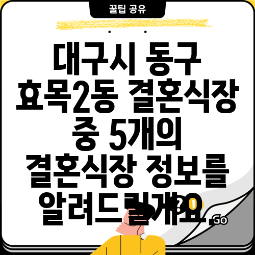 대구시 동구 효목2동 결혼식장 중 5개의 결혼식장 정보를 알려드릴게요.