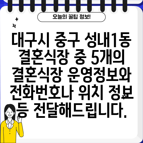 대구시 중구 성내1동 결혼식장 중 5개의 결혼식장 운영정보와 전화번호나 위치 정보 등 전달해드립니다.