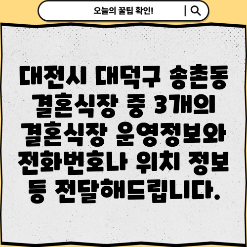 대전시 대덕구 송촌동 결혼식장 중 3개의 결혼식장 운영정보와 전화번호나 위치 정보 등 전달해드립니다.
