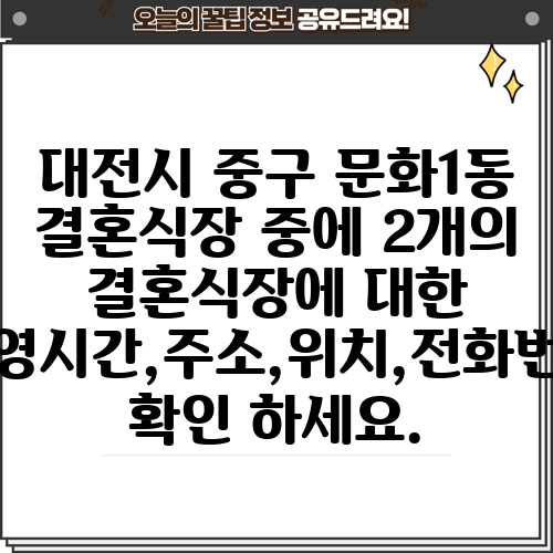 대전시 중구 문화1동 결혼식장 중에 2개의 결혼식장에 대한 운영시간,주소,위치,전화번호 확인 하세요.