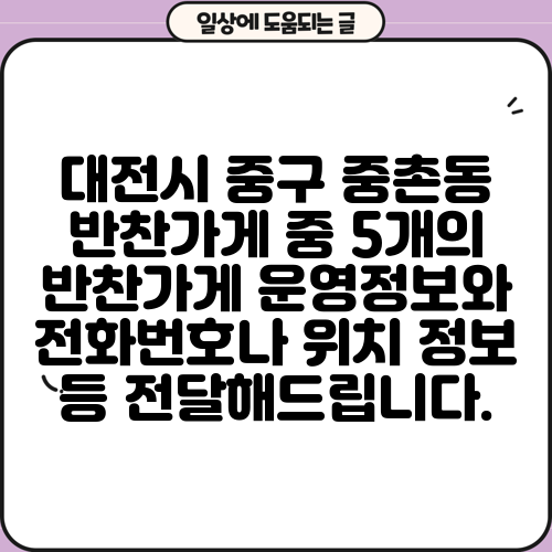 대전시 중구 중촌동 반찬가게 중 5개의 반찬가게 운영정보와 전화번호나 위치 정보 등 전달해드립니다.