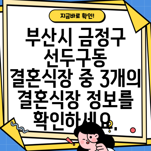 부산시 금정구 선두구동 결혼식장 중 3개의 결혼식장 정보를 확인하세요.