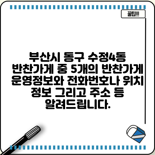 부산시 동구 수정4동 반찬가게 중 5개의 반찬가게 운영정보와 전화번호나 위치 정보 그리고 주소 등 알려드립니다.
