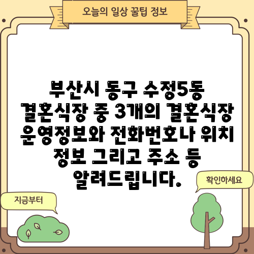 부산시 동구 수정5동 결혼식장 중 3개의 결혼식장 운영정보와 전화번호나 위치 정보 그리고 주소 등 알려드립니다.