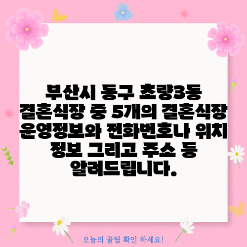 부산시 동구 초량3동 결혼식장 중 5개의 결혼식장 운영정보와 전화번호나 위치 정보 그리고 주소 등 알려드립니다.