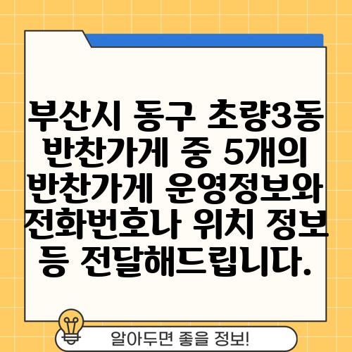 부산시 동구 초량3동 반찬가게 중 5개의 반찬가게 운영정보와 전화번호나 위치 정보 등 전달해드립니다.