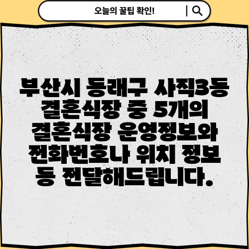 부산시 동래구 사직3동 결혼식장 중 5개의 결혼식장 운영정보와 전화번호나 위치 정보 등 전달해드립니다.