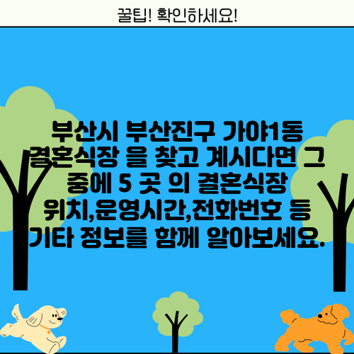 부산시 부산진구 가야1동 결혼식장 을 찾고 계시다면 그 중에 5 곳 의 결혼식장 위치,운영시간,전화번호 등 기타 정보를 함께 알아보세요.