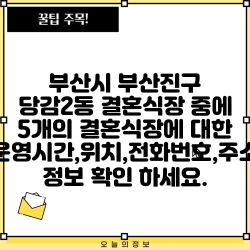부산시 부산진구 당감2동 결혼식장 중에 5개의 결혼식장에 대한 운영시간,위치,전화번호,주소 정보 확인 하세요.