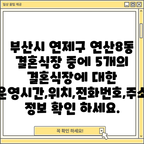부산시 연제구 연산8동 결혼식장 중에 5개의 결혼식장에 대한 운영시간,위치,전화번호,주소 정보 확인 하세요.