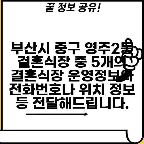 부산시 중구 영주2동 결혼식장 중 5개의 결혼식장 운영정보와 전화번호나 위치 정보 등 전달해드립니다.