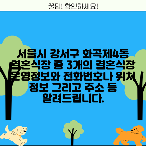서울시 강서구 화곡제4동 결혼식장 중 3개의 결혼식장 운영정보와 전화번호나 위치 정보 그리고 주소 등 알려드립니다.