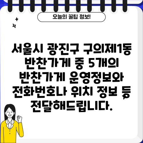 서울시 광진구 구의제1동 반찬가게 중 5개의 반찬가게 운영정보와 전화번호나 위치 정보 등 전달해드립니다.