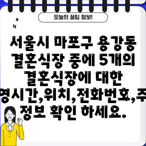 서울시 마포구 용강동 결혼식장 중에 5개의 결혼식장에 대한 운영시간,위치,전화번호,주소 정보 확인 하세요.
