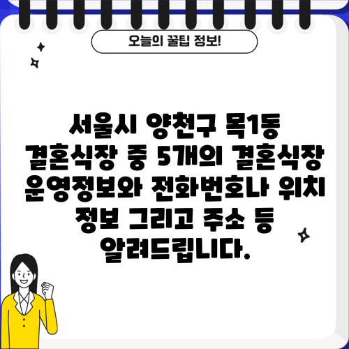 서울시 양천구 목1동 결혼식장 중 5개의 결혼식장 운영정보와 전화번호나 위치 정보 그리고 주소 등 알려드립니다.