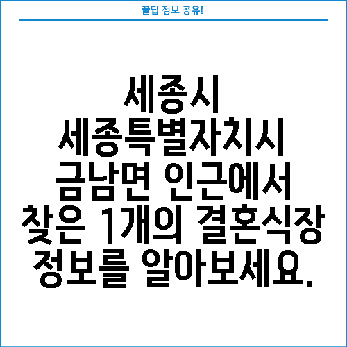 세종시 세종특별자치시 금남면 인근에서 찾은 1개의 결혼식장 정보를 알아보세요.