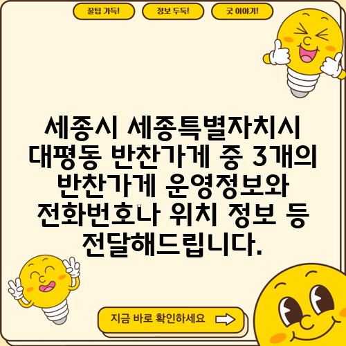 세종시 세종특별자치시 대평동 반찬가게 중 3개의 반찬가게 운영정보와 전화번호나 위치 정보 등 전달해드립니다.