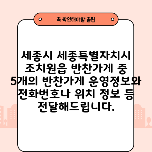 세종시 세종특별자치시 조치원읍 반찬가게 중 5개의 반찬가게 운영정보와 전화번호나 위치 정보 등 전달해드립니다.