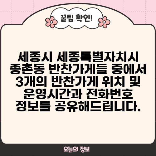 세종시 세종특별자치시 종촌동 반찬가게들 중에서 3개의 반찬가게 위치 및 운영시간과 전화번호 정보를 공유해드립니다.