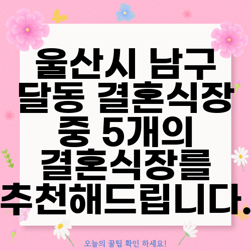 울산시 남구 달동 결혼식장 중 5개의 결혼식장를 추천해드립니다.