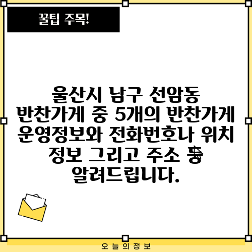 울산시 남구 선암동 반찬가게 중 5개의 반찬가게 운영정보와 전화번호나 위치 정보 그리고 주소 등 알려드립니다.