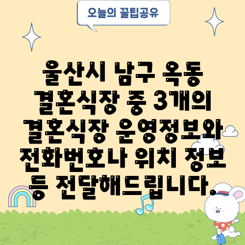 울산시 남구 옥동 결혼식장 중 3개의 결혼식장 운영정보와 전화번호나 위치 정보 등 전달해드립니다.