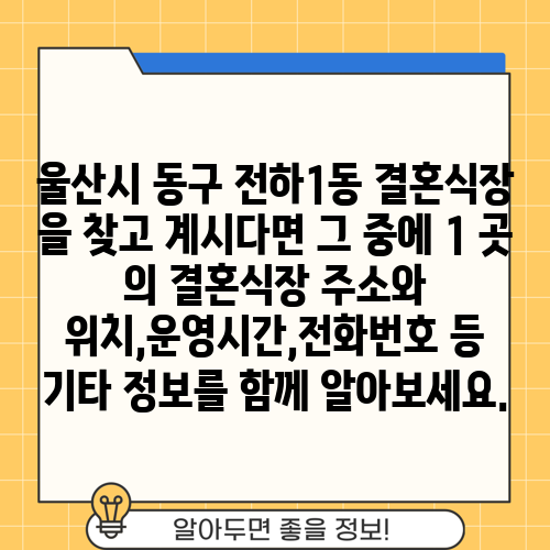 울산시 동구 전하1동 결혼식장 을 찾고 계시다면 그 중에 1 곳 의 결혼식장 주소와 위치,운영시간,전화번호 등 기타 정보를 함께 알아보세요.