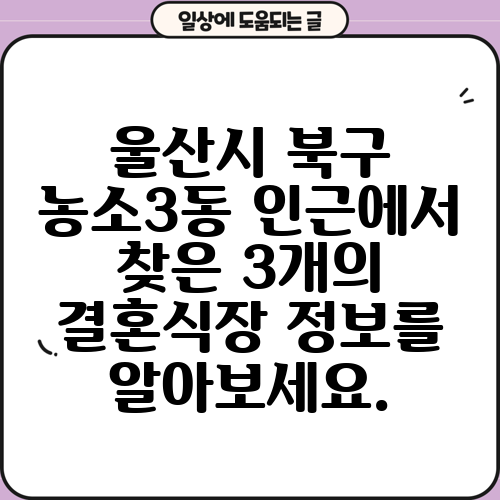 울산시 북구 농소3동 인근에서 찾은 3개의 결혼식장 정보를 알아보세요.