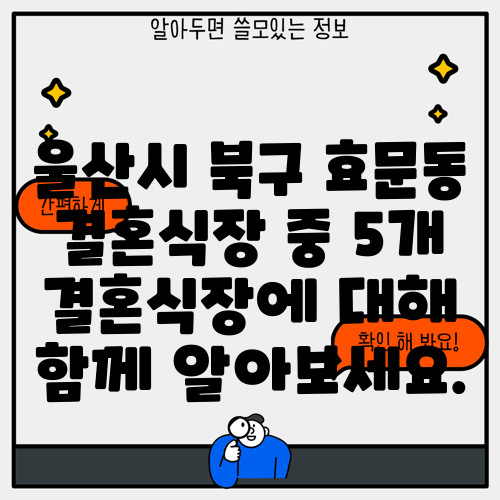 울산시 북구 효문동 결혼식장 중 5개 결혼식장에 대해 함께 알아보세요.