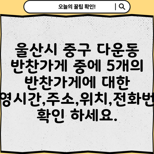 울산시 중구 다운동 반찬가게 중에 5개의 반찬가게에 대한 운영시간,주소,위치,전화번호 확인 하세요.