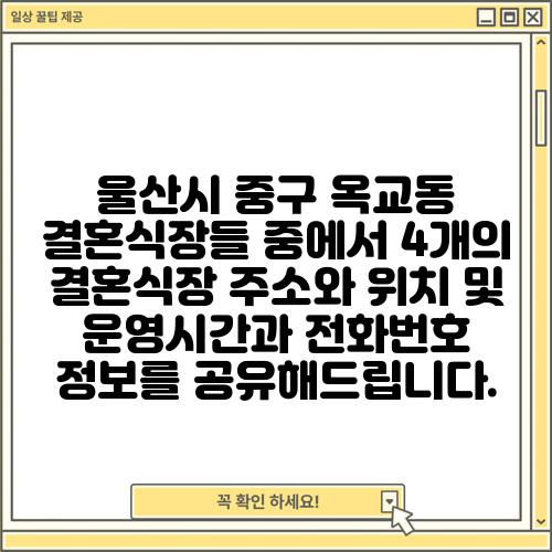 울산시 중구 옥교동 결혼식장들 중에서 4개의 결혼식장 주소와 위치 및 운영시간과 전화번호 정보를 공유해드립니다.