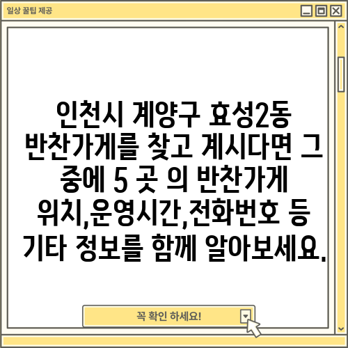 인천시 계양구 효성2동 반찬가게를 찾고 계시다면 그 중에 5 곳 의 반찬가게 위치,운영시간,전화번호 등 기타 정보를 함께 알아보세요.
