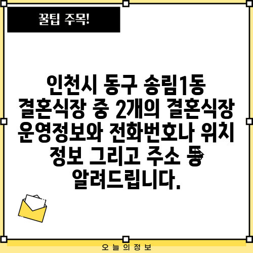 인천시 동구 송림1동 결혼식장 중 2개의 결혼식장 운영정보와 전화번호나 위치 정보 그리고 주소 등 알려드립니다.