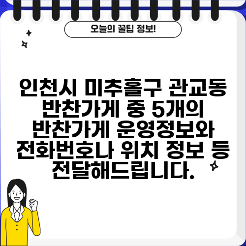 인천시 미추홀구 관교동 반찬가게 중 5개의 반찬가게 운영정보와 전화번호나 위치 정보 등 전달해드립니다.