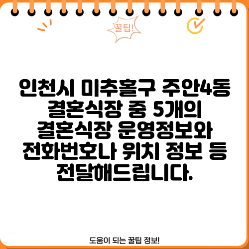 인천시 미추홀구 주안4동 결혼식장 중 5개의 결혼식장 운영정보와 전화번호나 위치 정보 등 전달해드립니다.