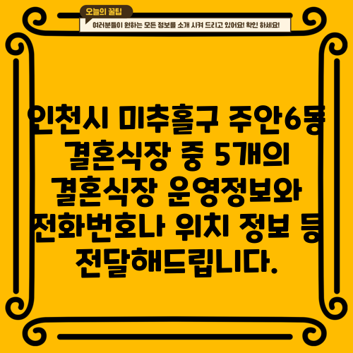 인천시 미추홀구 주안6동 결혼식장 중 5개의 결혼식장 운영정보와 전화번호나 위치 정보 등 전달해드립니다.