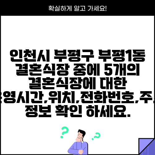인천시 부평구 부평1동 결혼식장 중에 5개의 결혼식장에 대한 운영시간,위치,전화번호,주소 정보 확인 하세요.