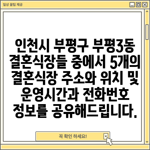 인천시 부평구 부평3동 결혼식장들 중에서 5개의 결혼식장 주소와 위치 및 운영시간과 전화번호 정보를 공유해드립니다.