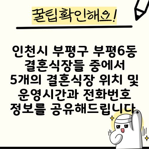 인천시 부평구 부평6동 결혼식장들 중에서 5개의 결혼식장 위치 및 운영시간과 전화번호 정보를 공유해드립니다.