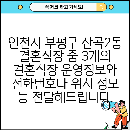 인천시 부평구 산곡2동 결혼식장 중 3개의 결혼식장 운영정보와 전화번호나 위치 정보 등 전달해드립니다.