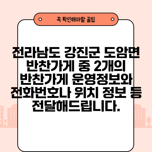 전라남도 강진군 도암면 반찬가게 중 2개의 반찬가게 운영정보와 전화번호나 위치 정보 등 전달해드립니다.