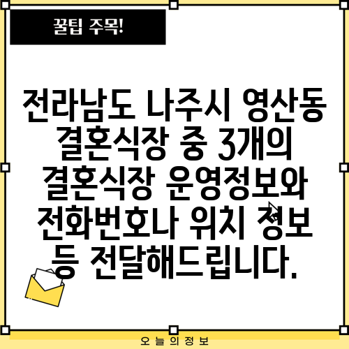 전라남도 나주시 영산동 결혼식장 중 3개의 결혼식장 운영정보와 전화번호나 위치 정보 등 전달해드립니다.