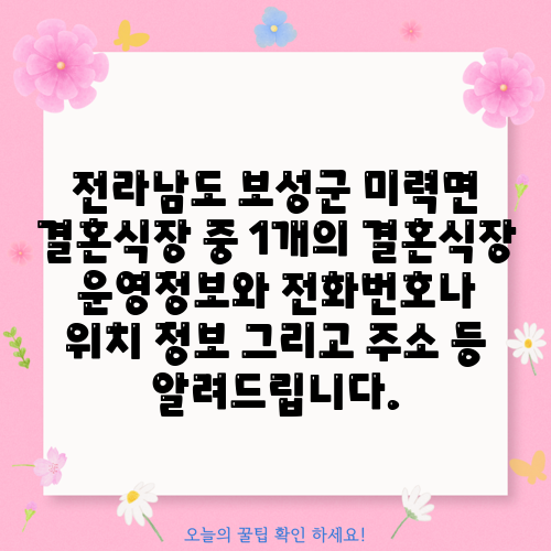 전라남도 보성군 미력면 결혼식장 중 1개의 결혼식장 운영정보와 전화번호나 위치 정보 그리고 주소 등 알려드립니다.