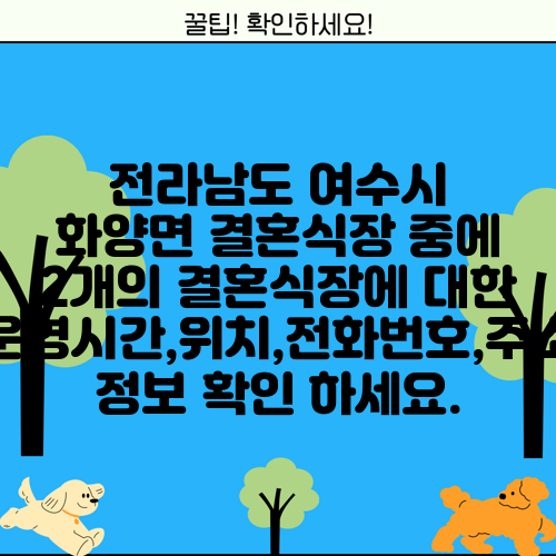 전라남도 여수시 화양면 결혼식장 중에 2개의 결혼식장에 대한 운영시간,위치,전화번호,주소 정보 확인 하세요.