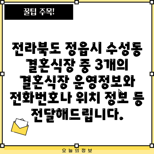 전라북도 정읍시 수성동 결혼식장 중 3개의 결혼식장 운영정보와 전화번호나 위치 정보 등 전달해드립니다.