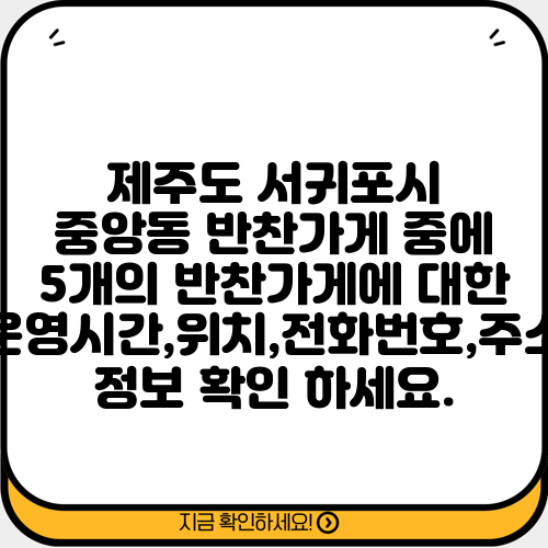 제주도 서귀포시 중앙동 반찬가게 중에 5개의 반찬가게에 대한 운영시간,위치,전화번호,주소 정보 확인 하세요.