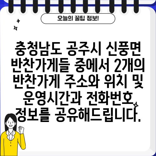 충청남도 공주시 신풍면 반찬가게들 중에서 2개의 반찬가게 주소와 위치 및 운영시간과 전화번호 정보를 공유해드립니다.