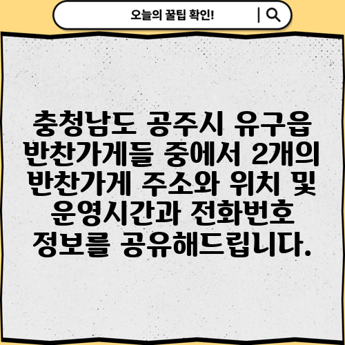 충청남도 공주시 유구읍 반찬가게들 중에서 2개의 반찬가게 주소와 위치 및 운영시간과 전화번호 정보를 공유해드립니다.
