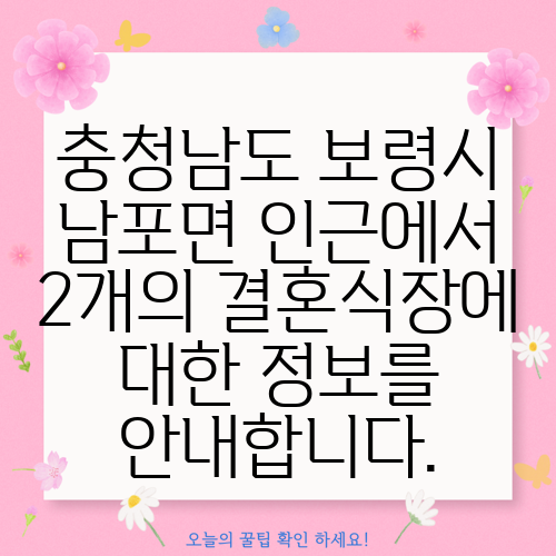 충청남도 보령시 남포면 인근에서 2개의 결혼식장에 대한 정보를 안내합니다.