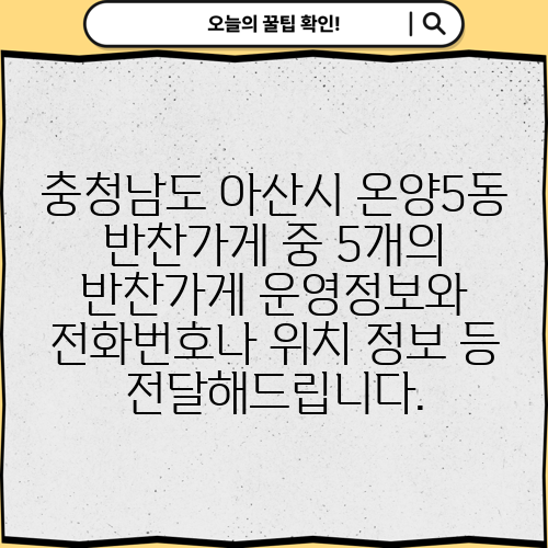충청남도 아산시 온양5동 반찬가게 중 5개의 반찬가게 운영정보와 전화번호나 위치 정보 등 전달해드립니다.